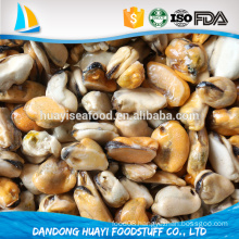 rich nutrition mussels meat much demand in market